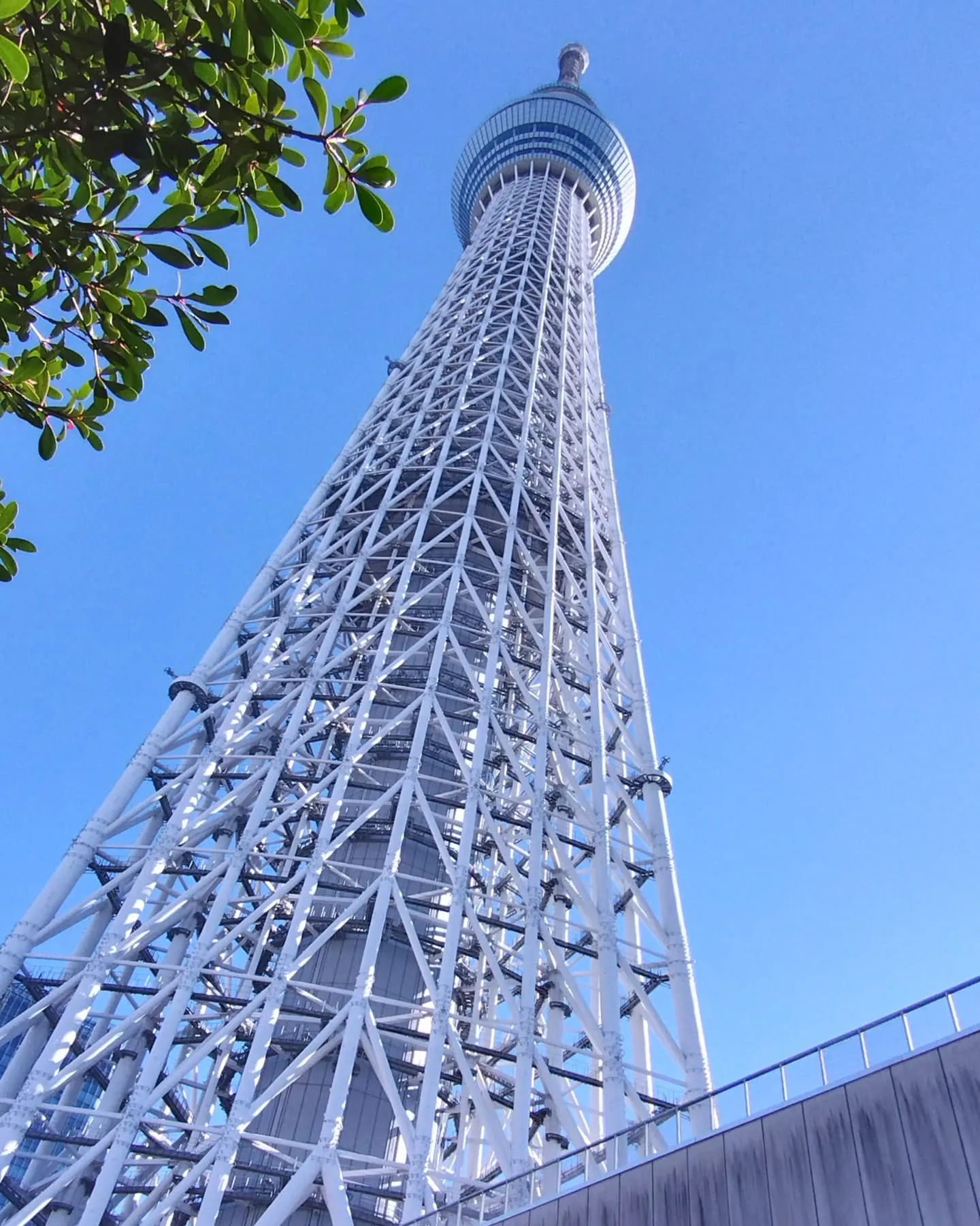 とある従業員の休日✨