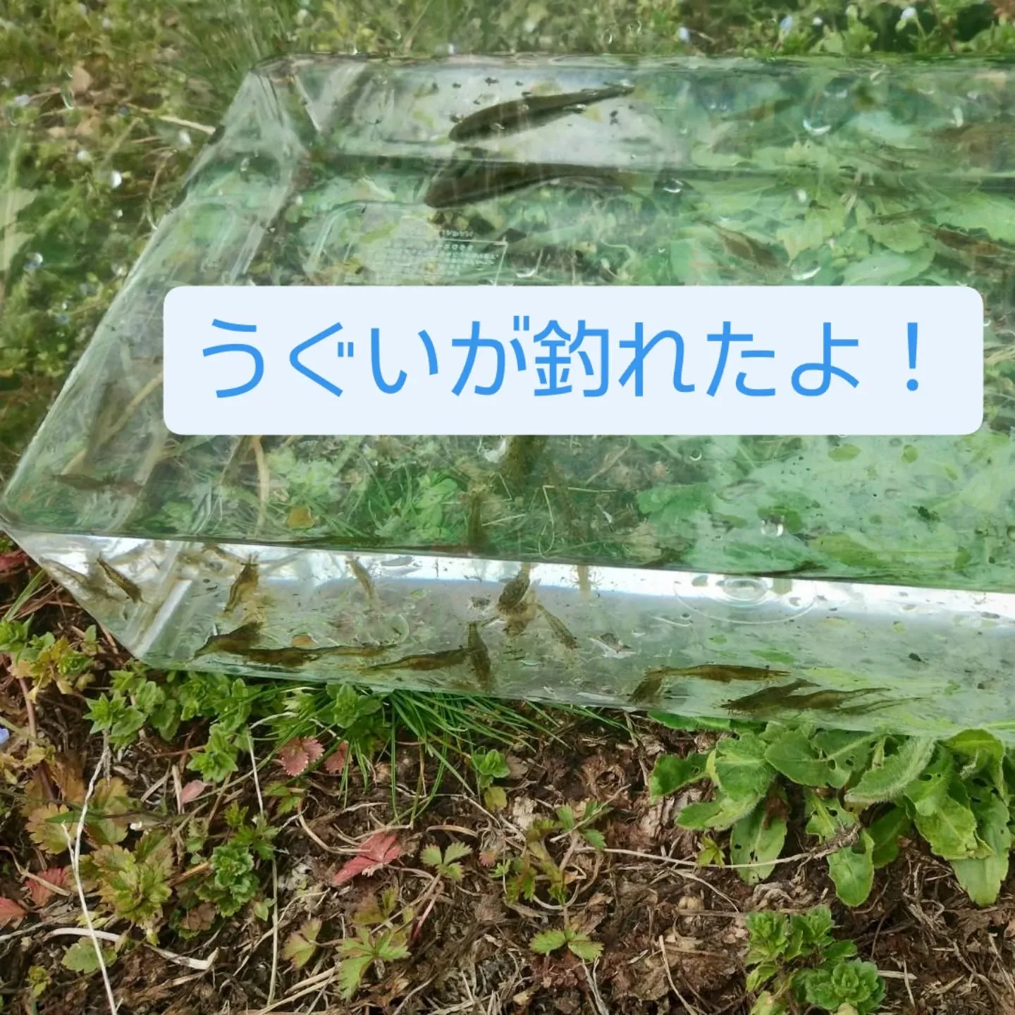 #三世代で釣り日和