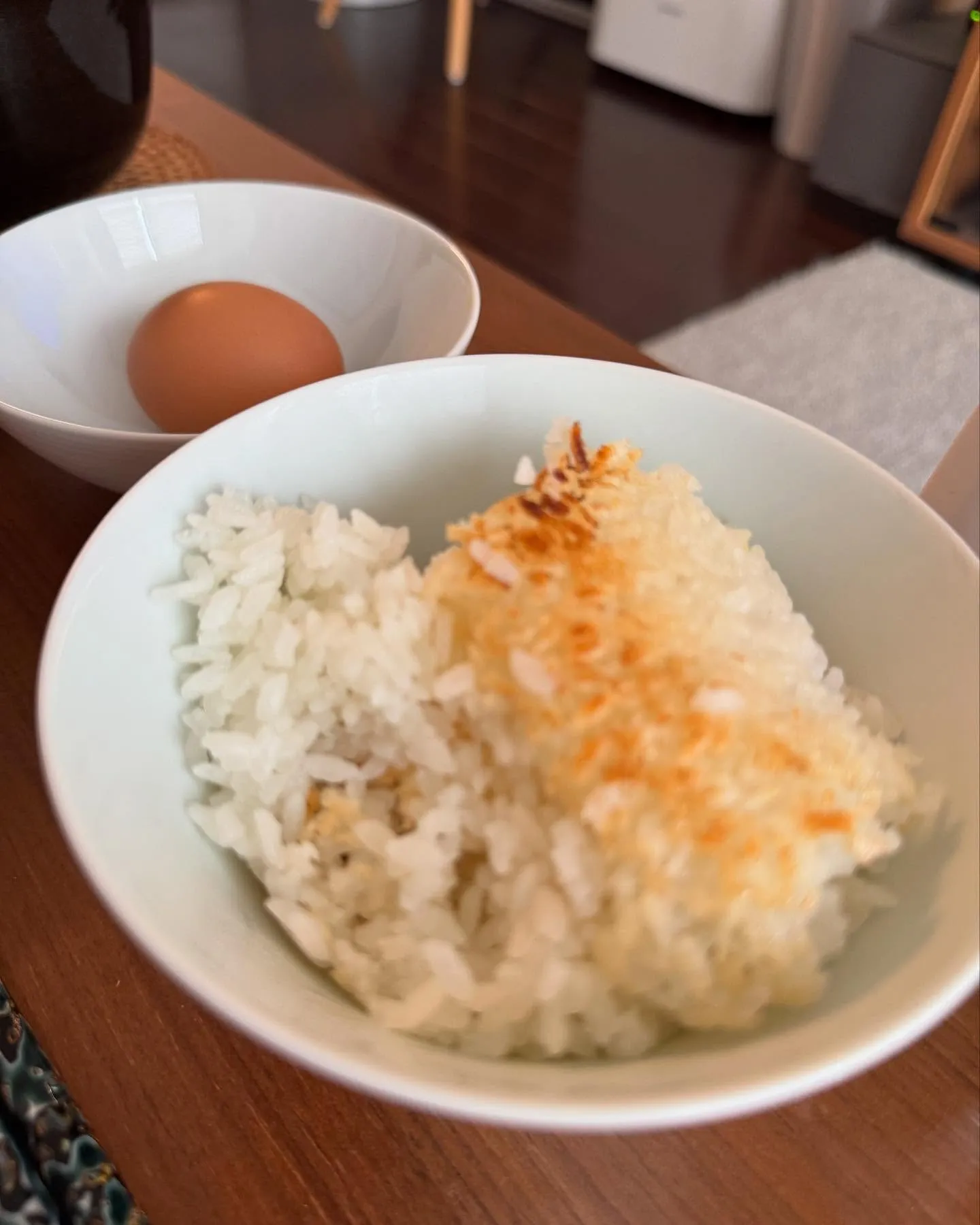 今日の森メシ⑫♬