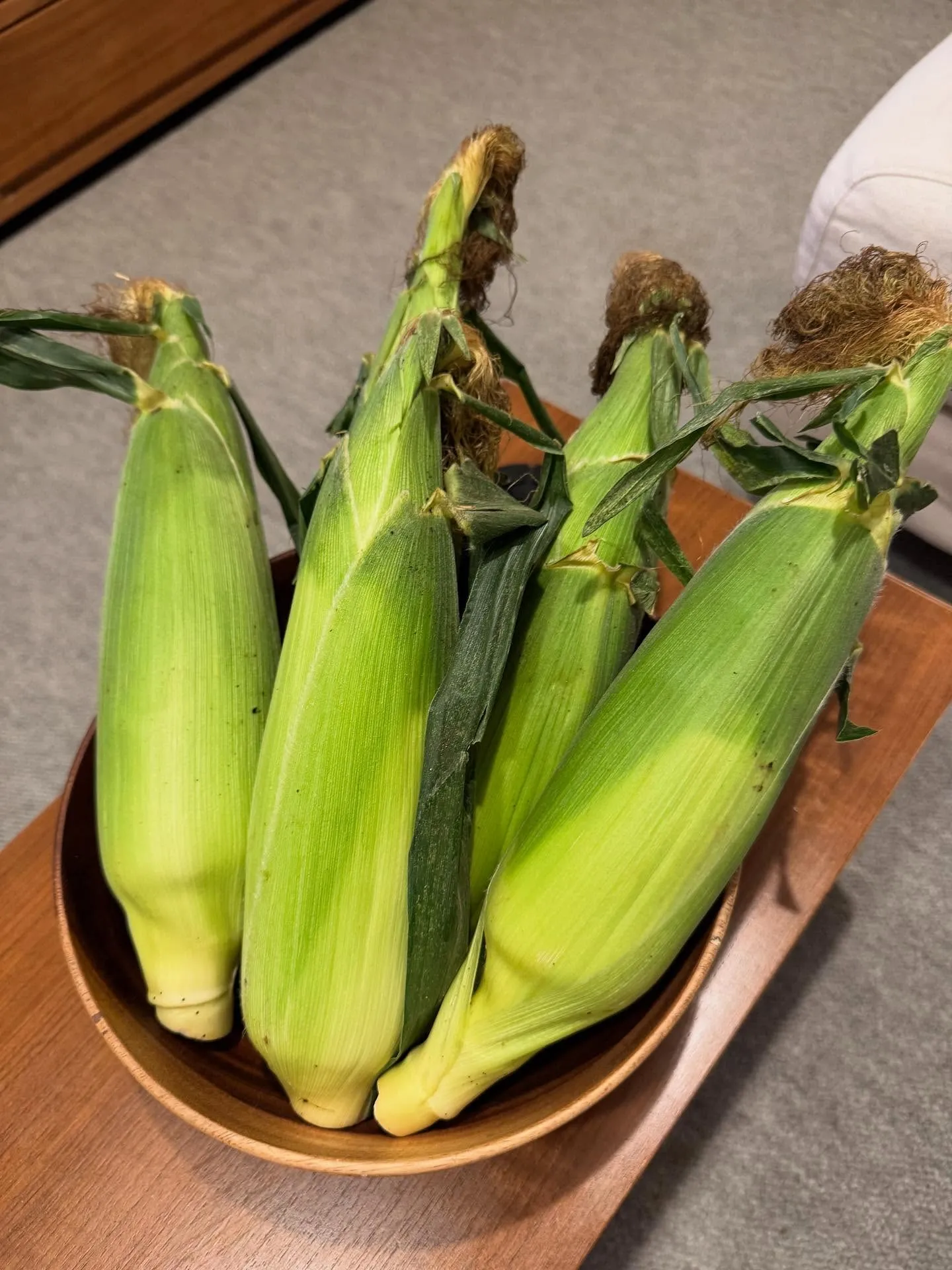 今日の森メシ⑮♪