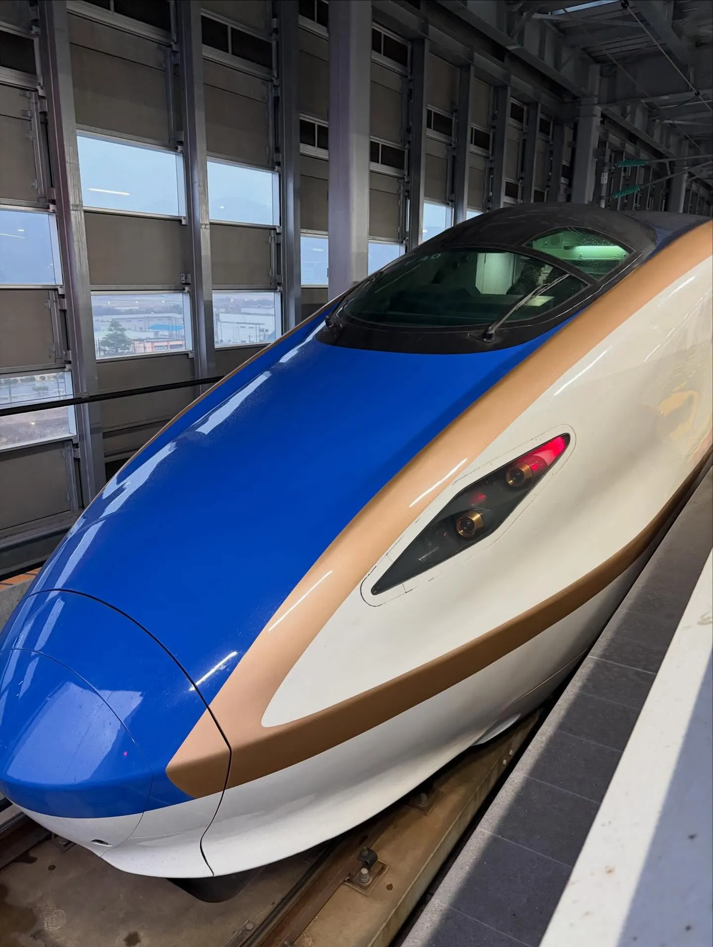 今日の森メシ③✨