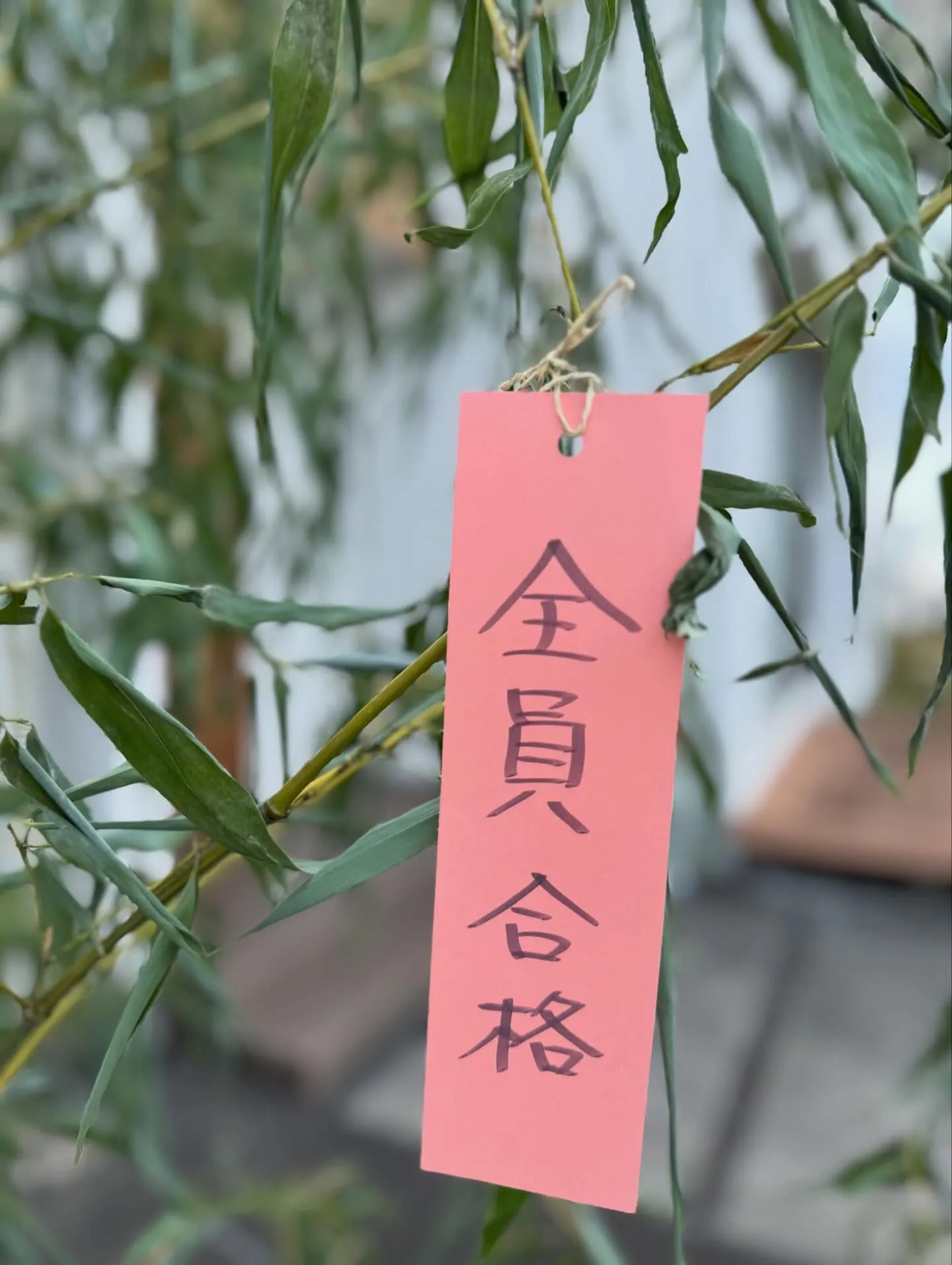 実は『ひなた学習会LeBois(ルボア)』は今日で丸1年✨