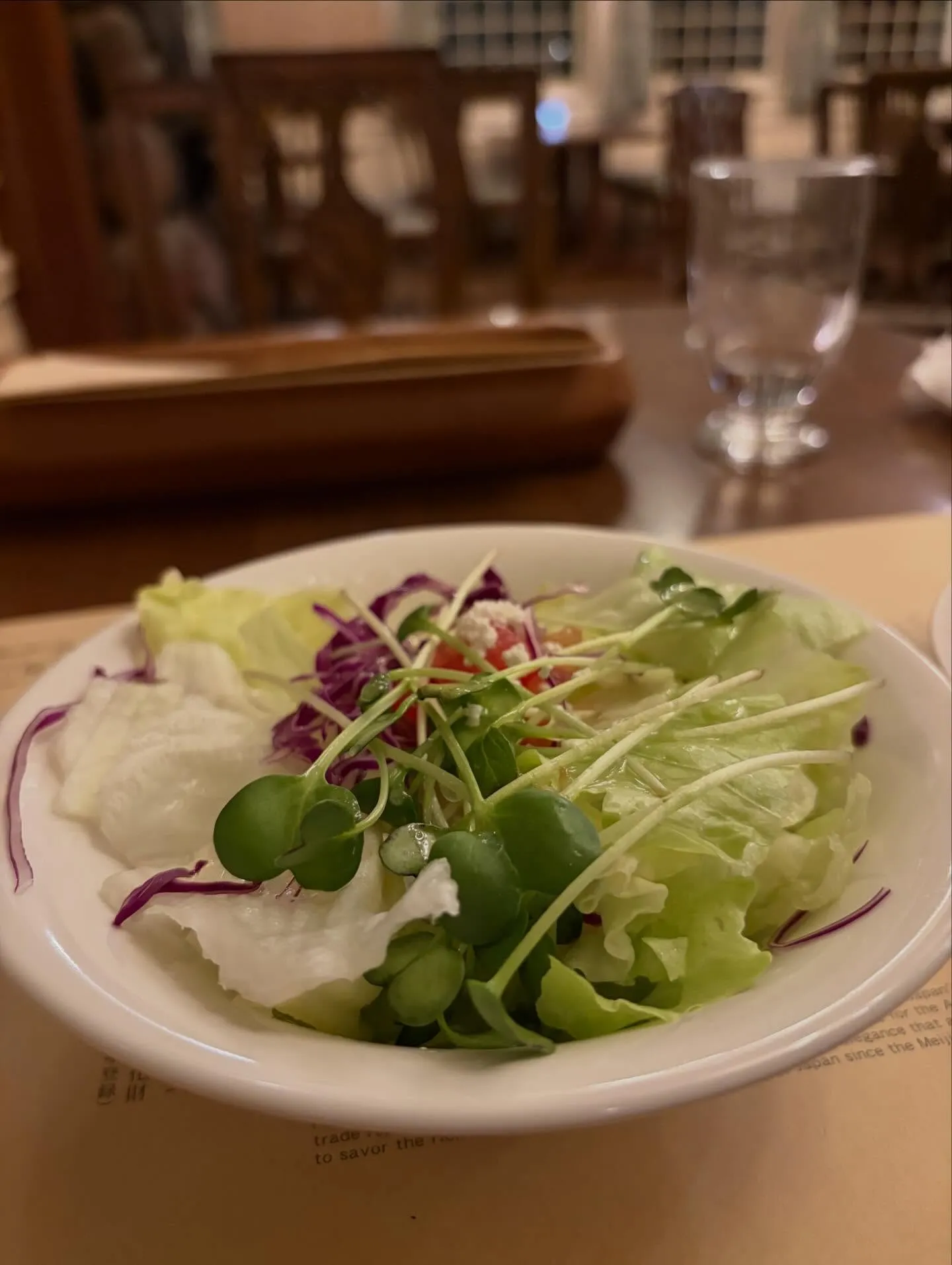 今日の森メシ⑥✨