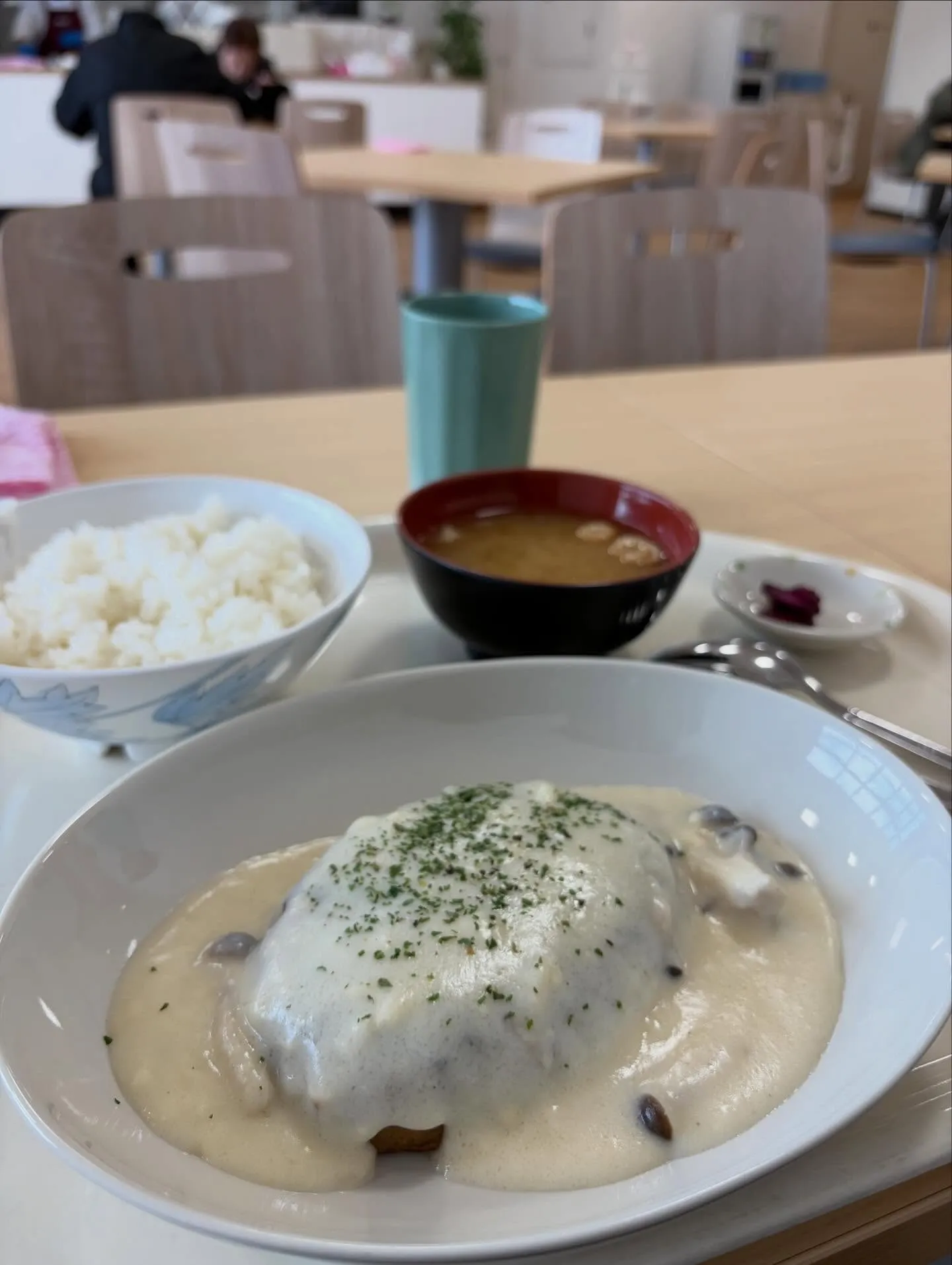 今日の森メシ⑦✨