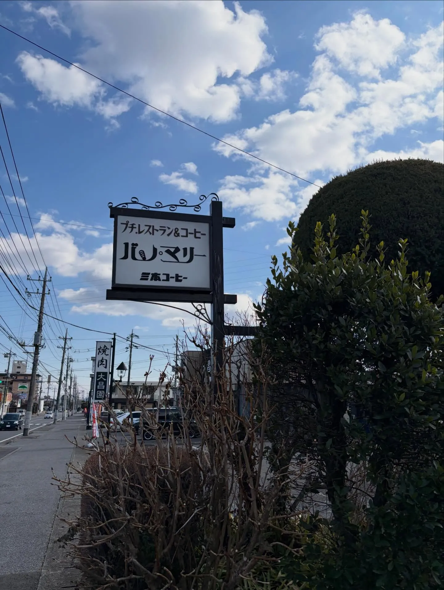 今日の森メシ⑨✨