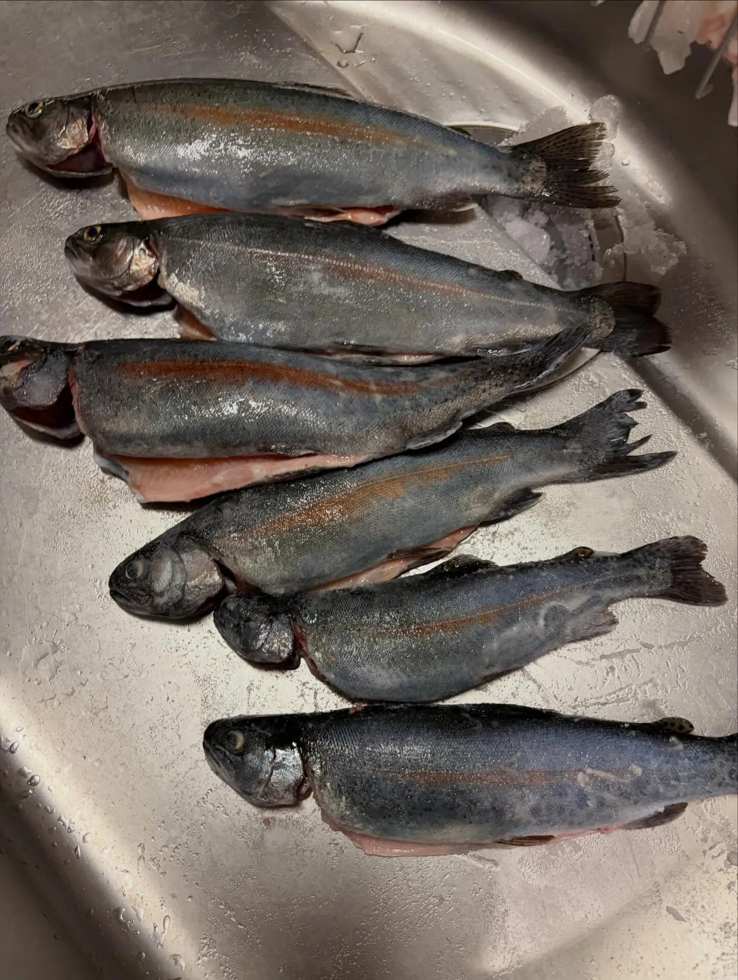 今日の森メシ⑩✨