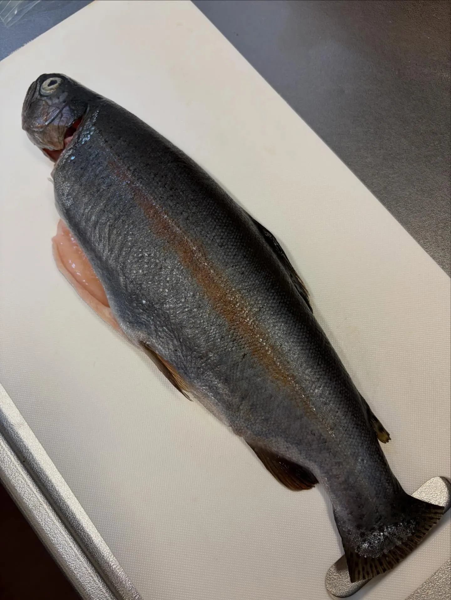 今日の森メシ⑩✨