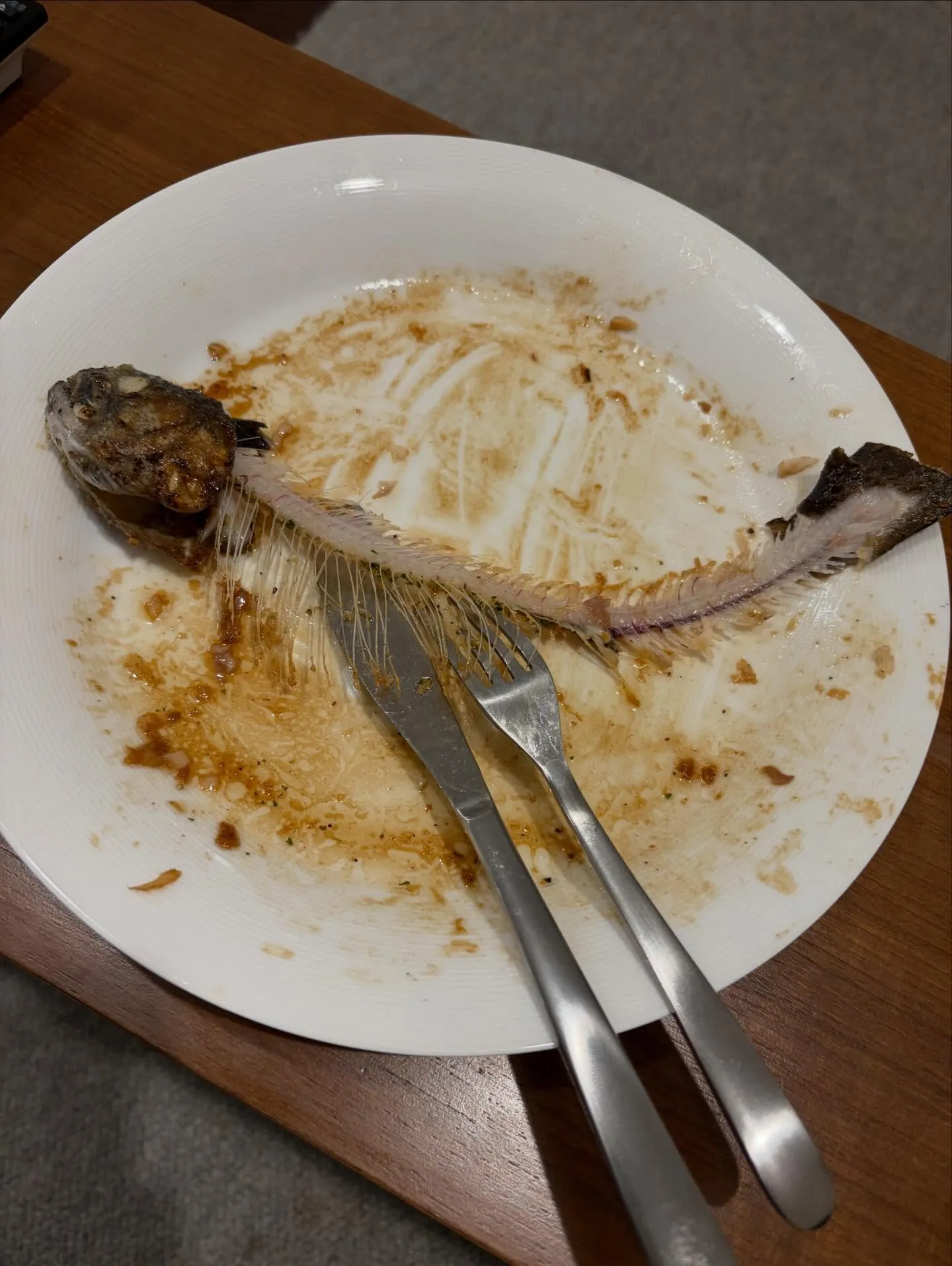 今日の森メシ⑩✨