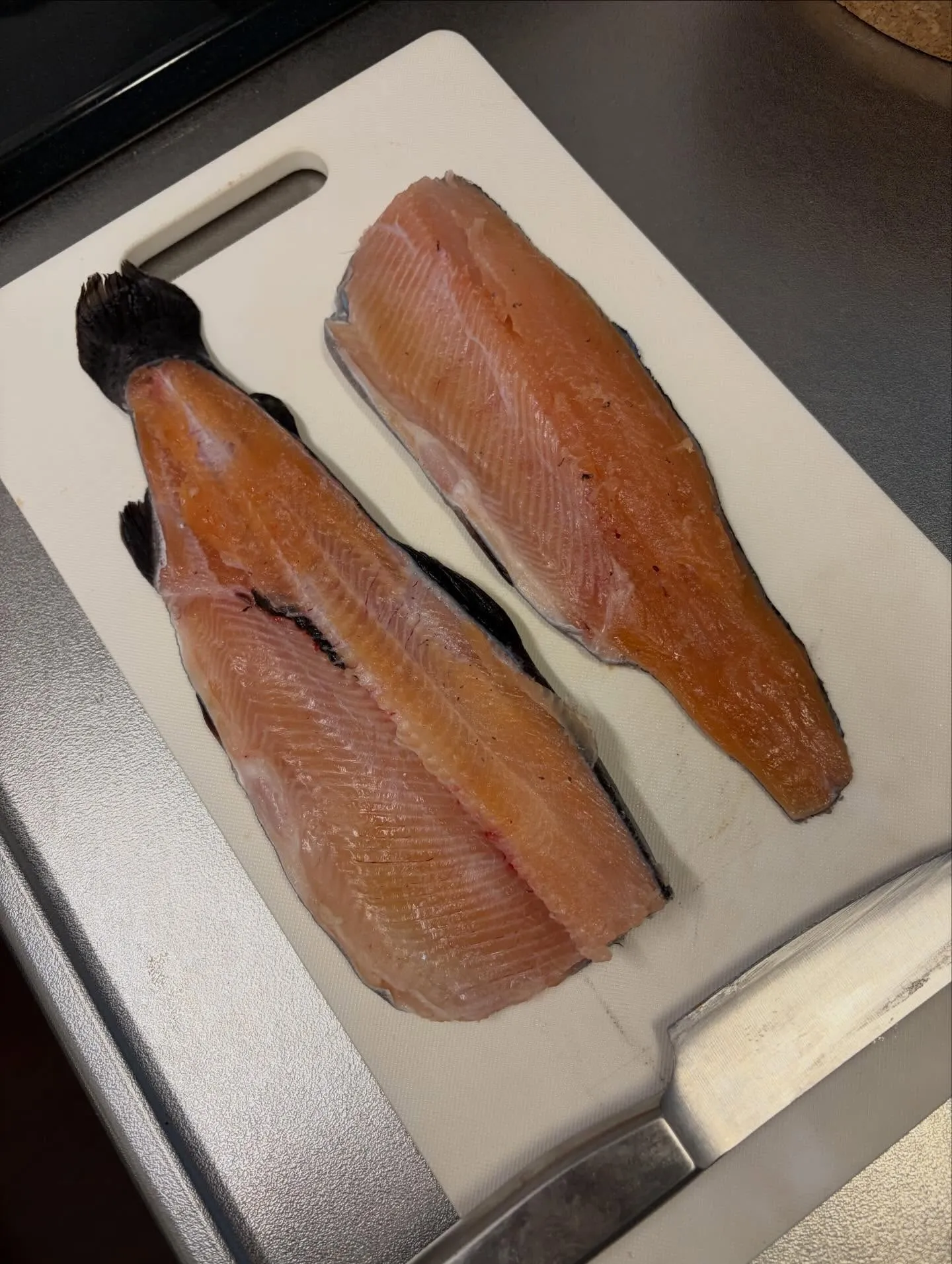 今日の森メシ⑫✨