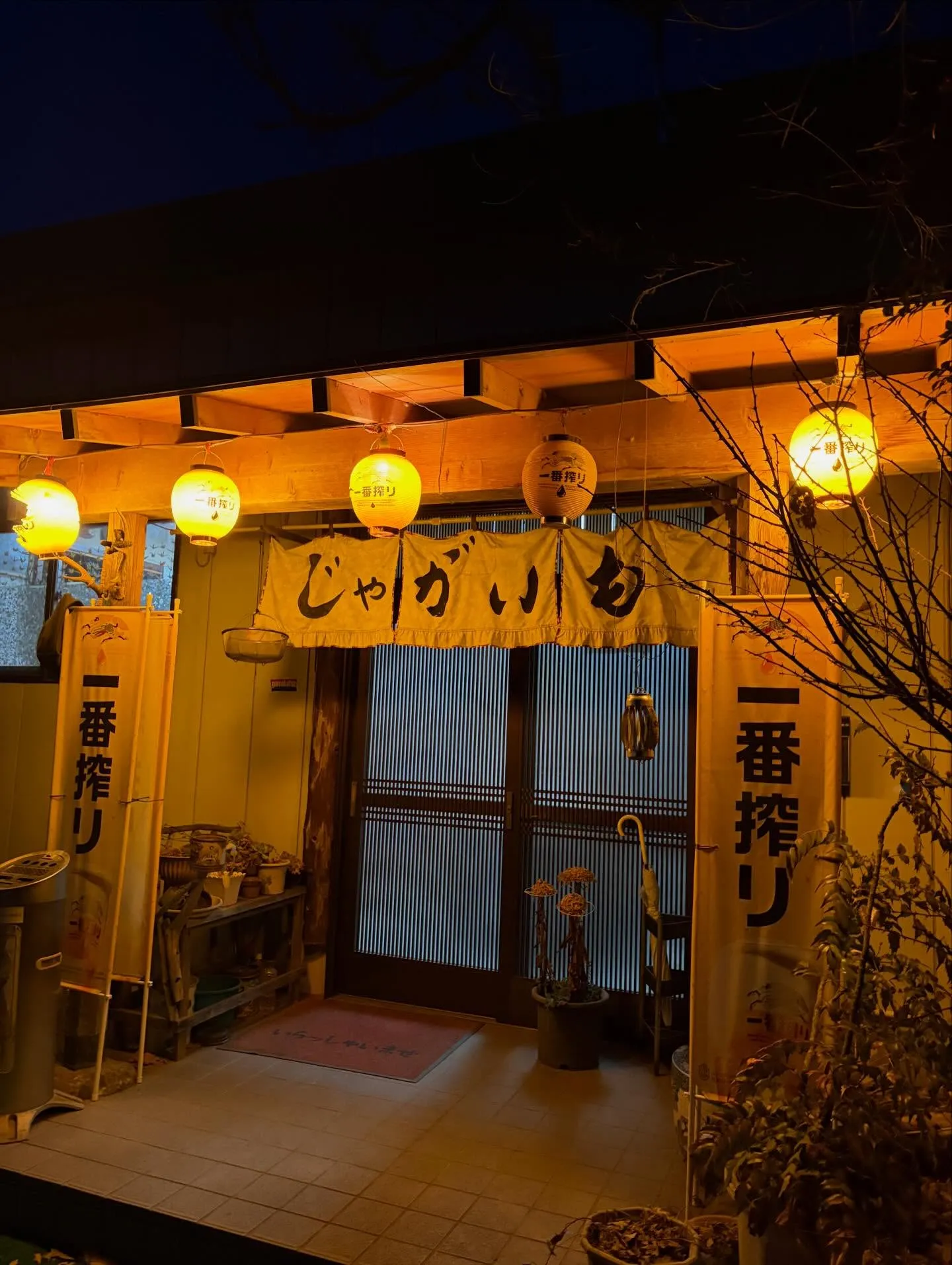 今日の森メシ⑮✨