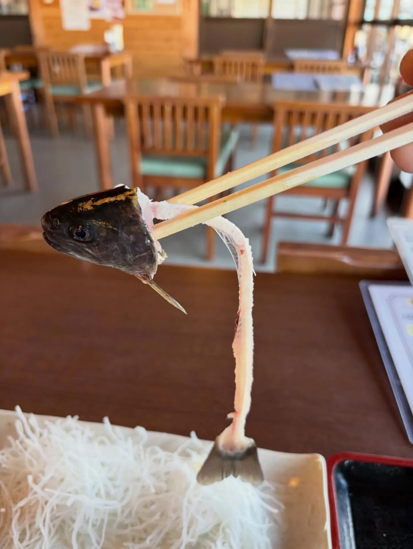 今日の森メシ⑲✨