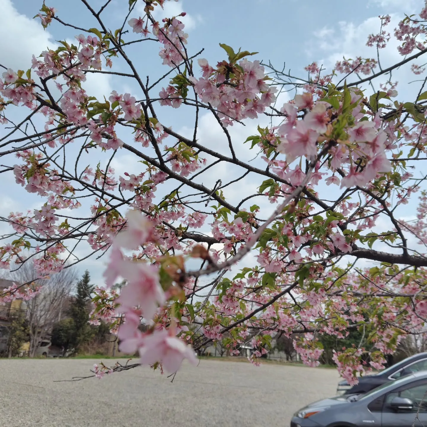 田澤の休日✨️