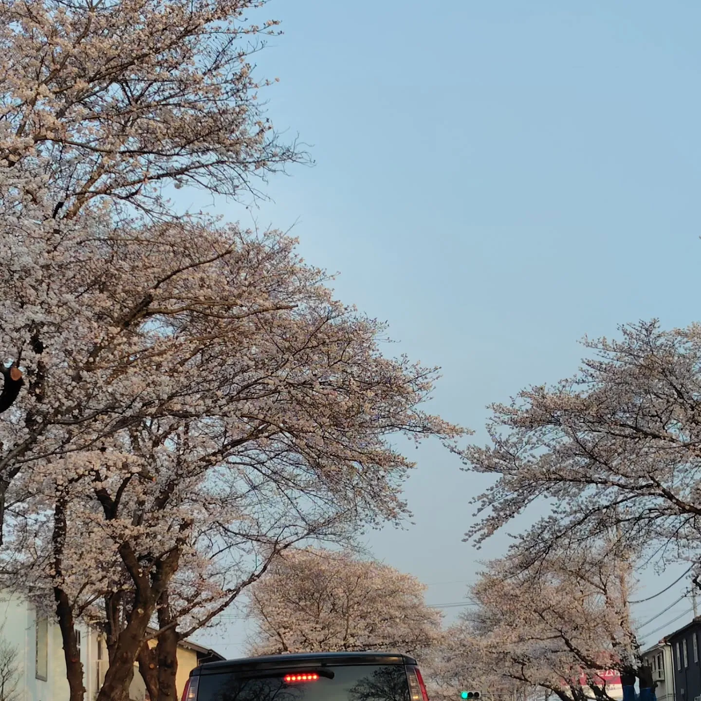 田澤の休日✨️