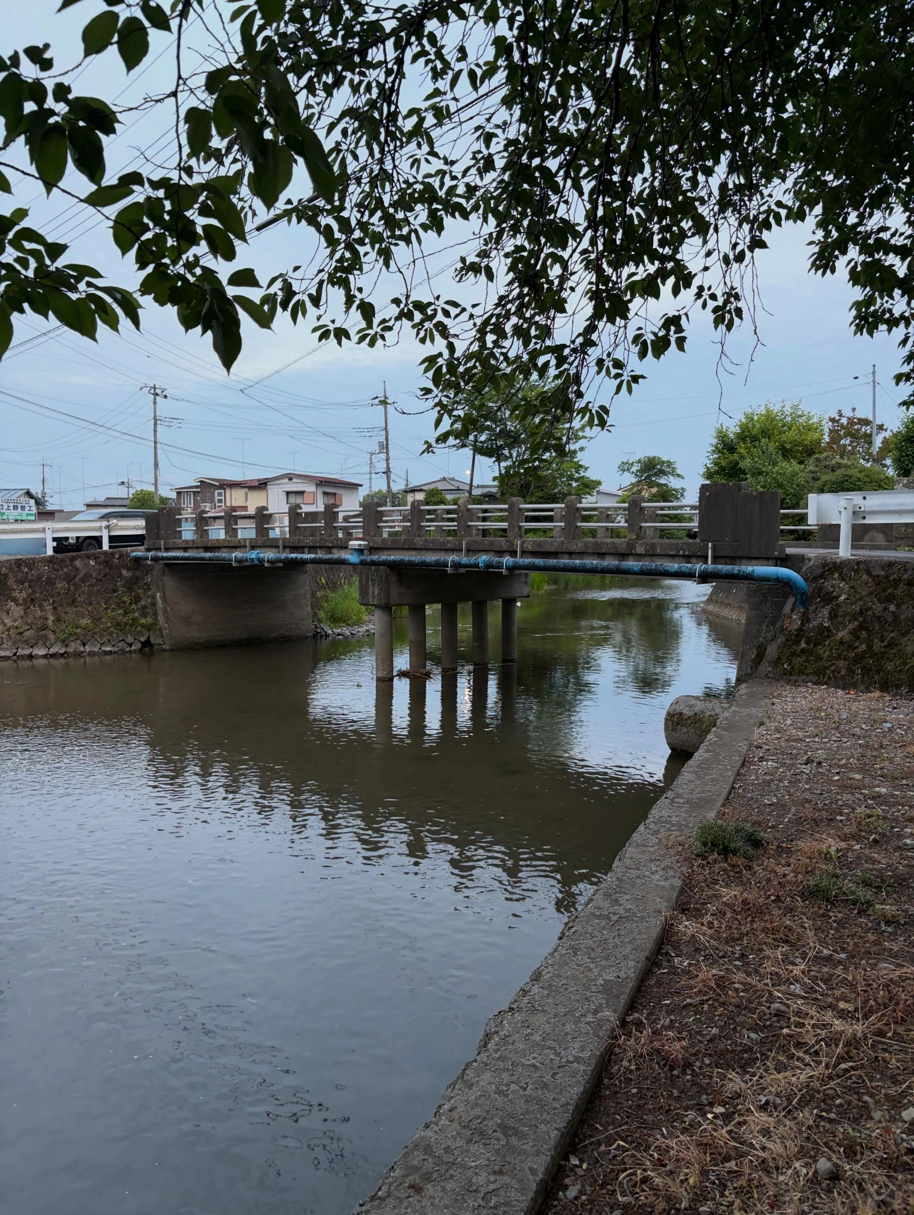 森の休日㉘♪