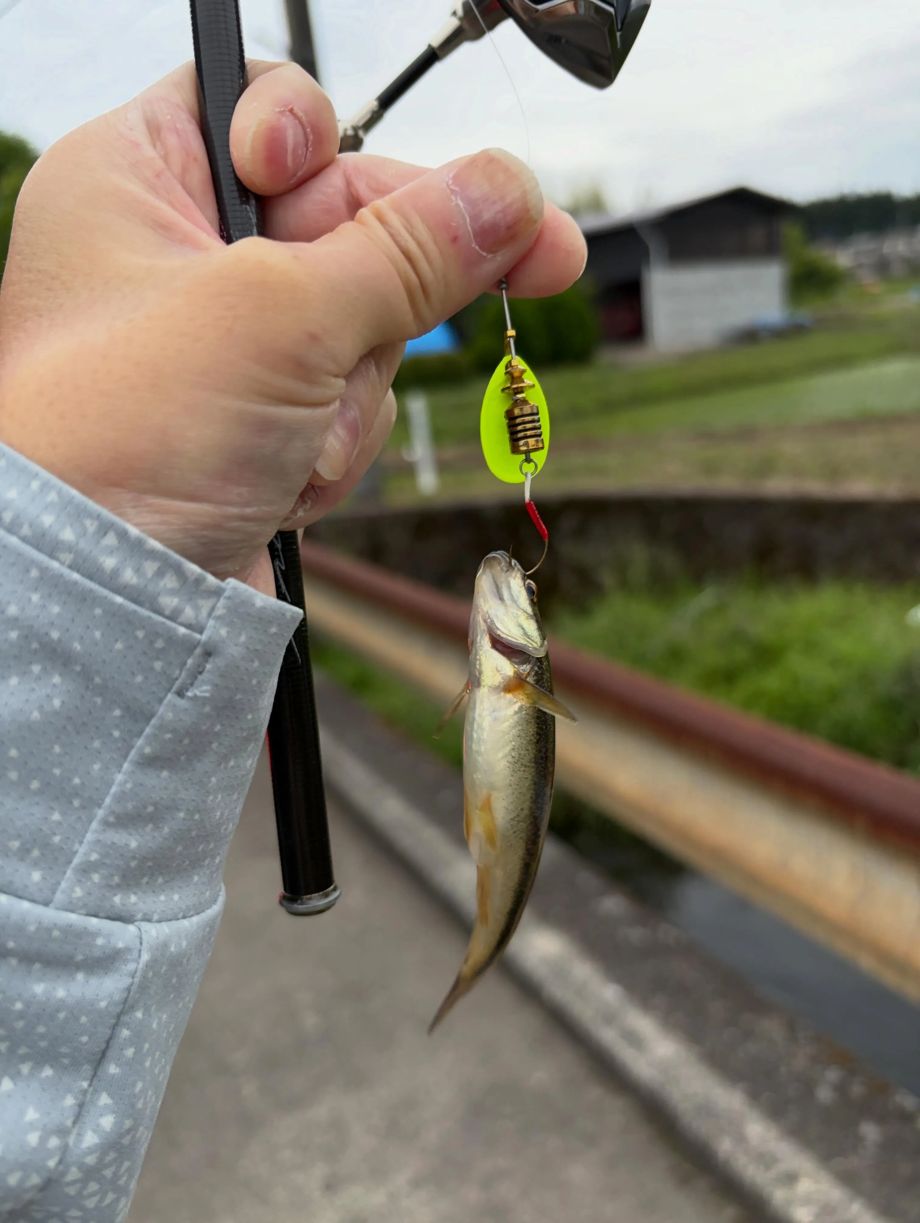 森の趣味④♪