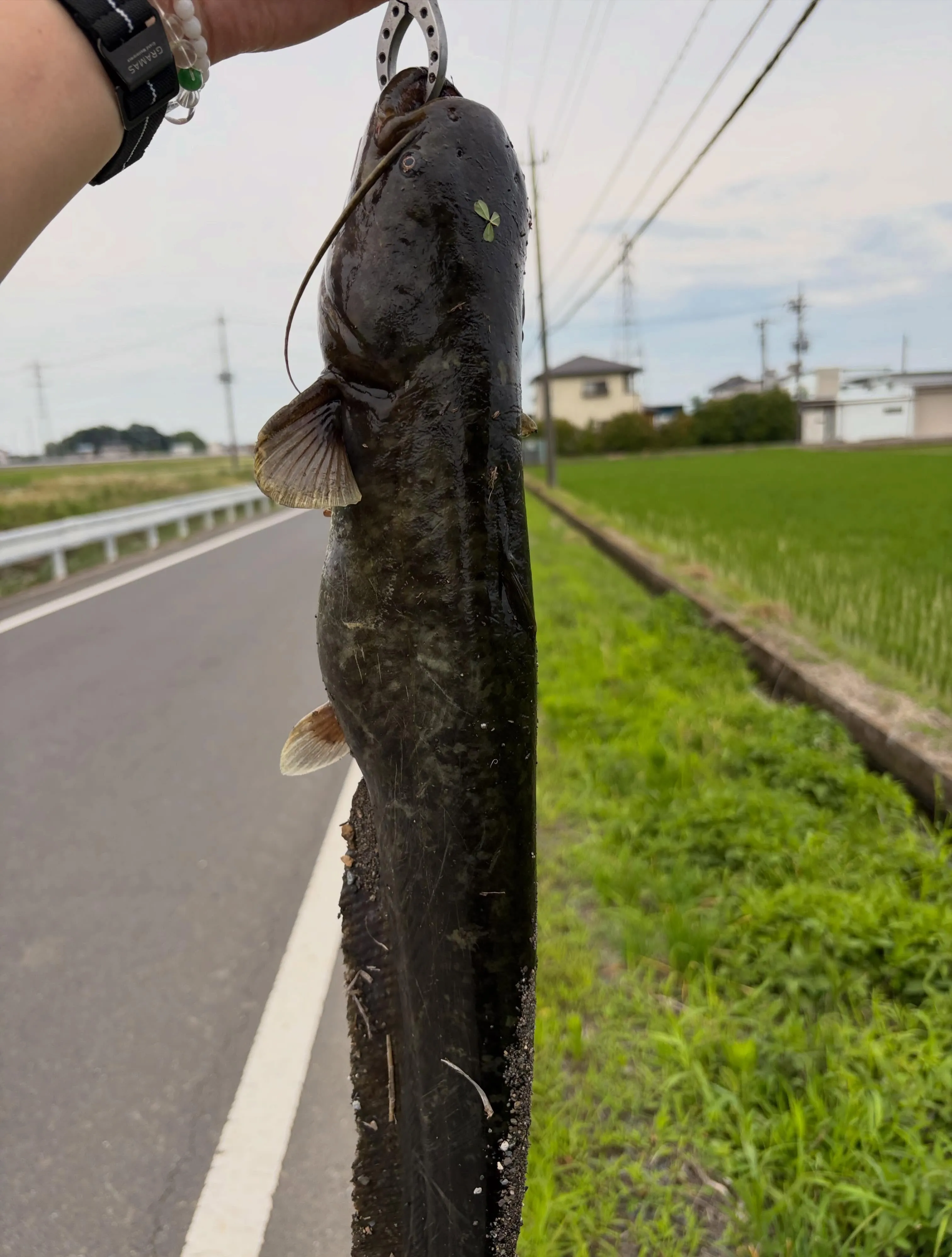 森の休日㊱♪
