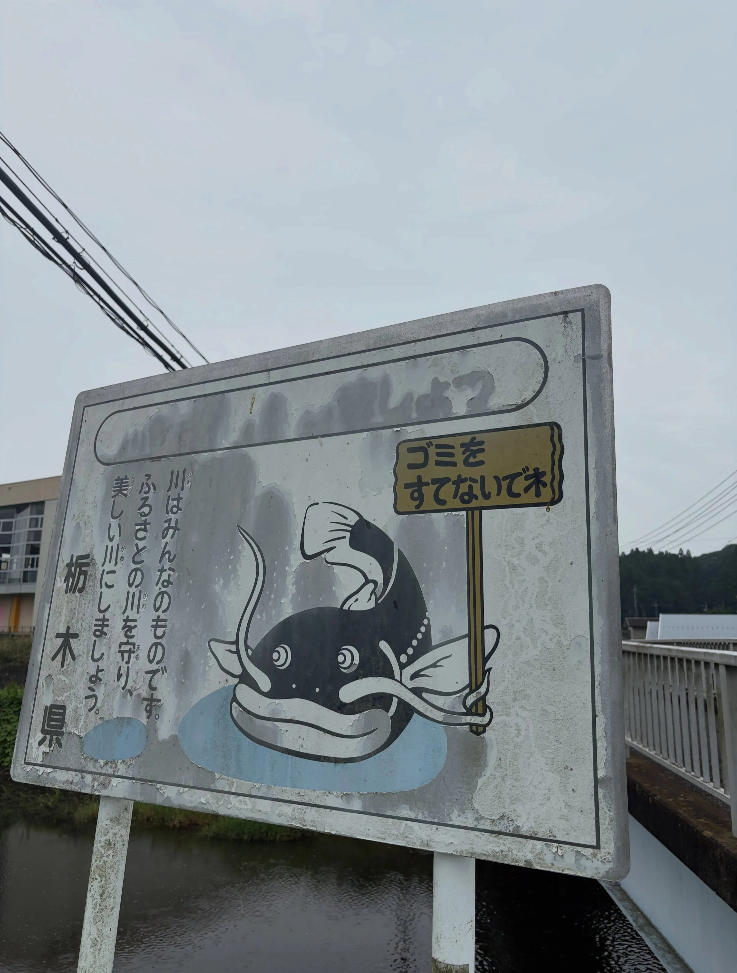 森の休日㊸♪