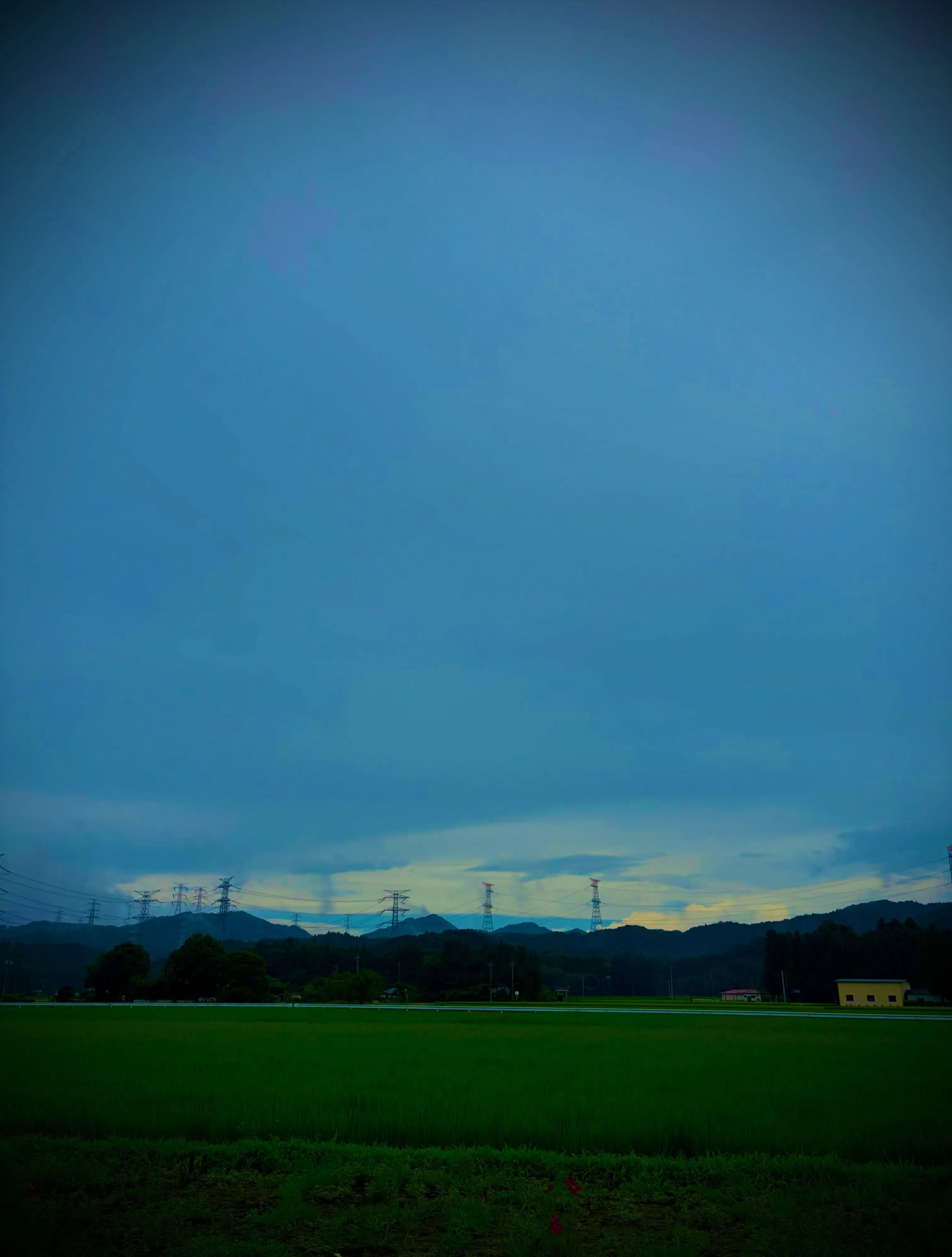 森の休日㊻♪