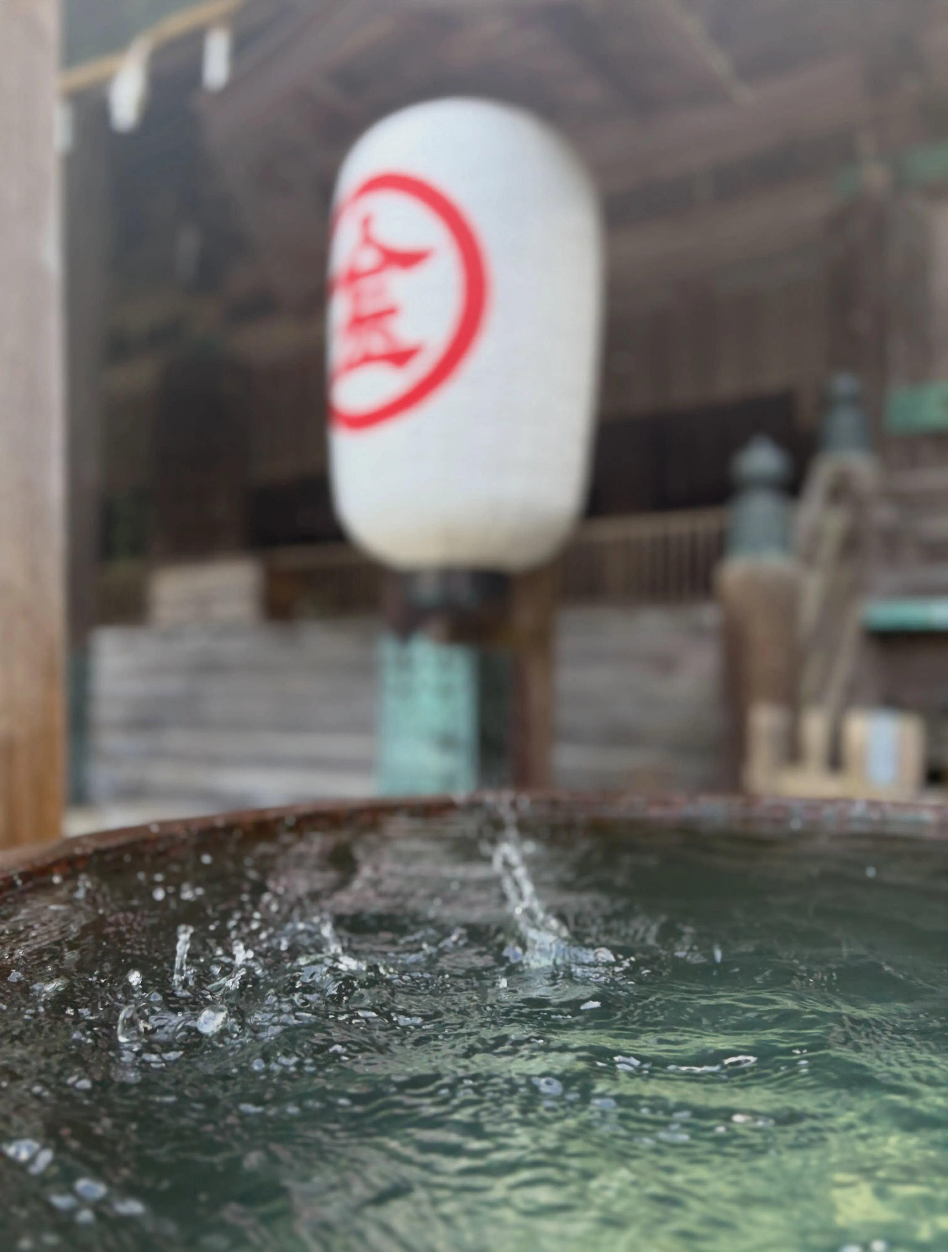 森の休日㊿♪
