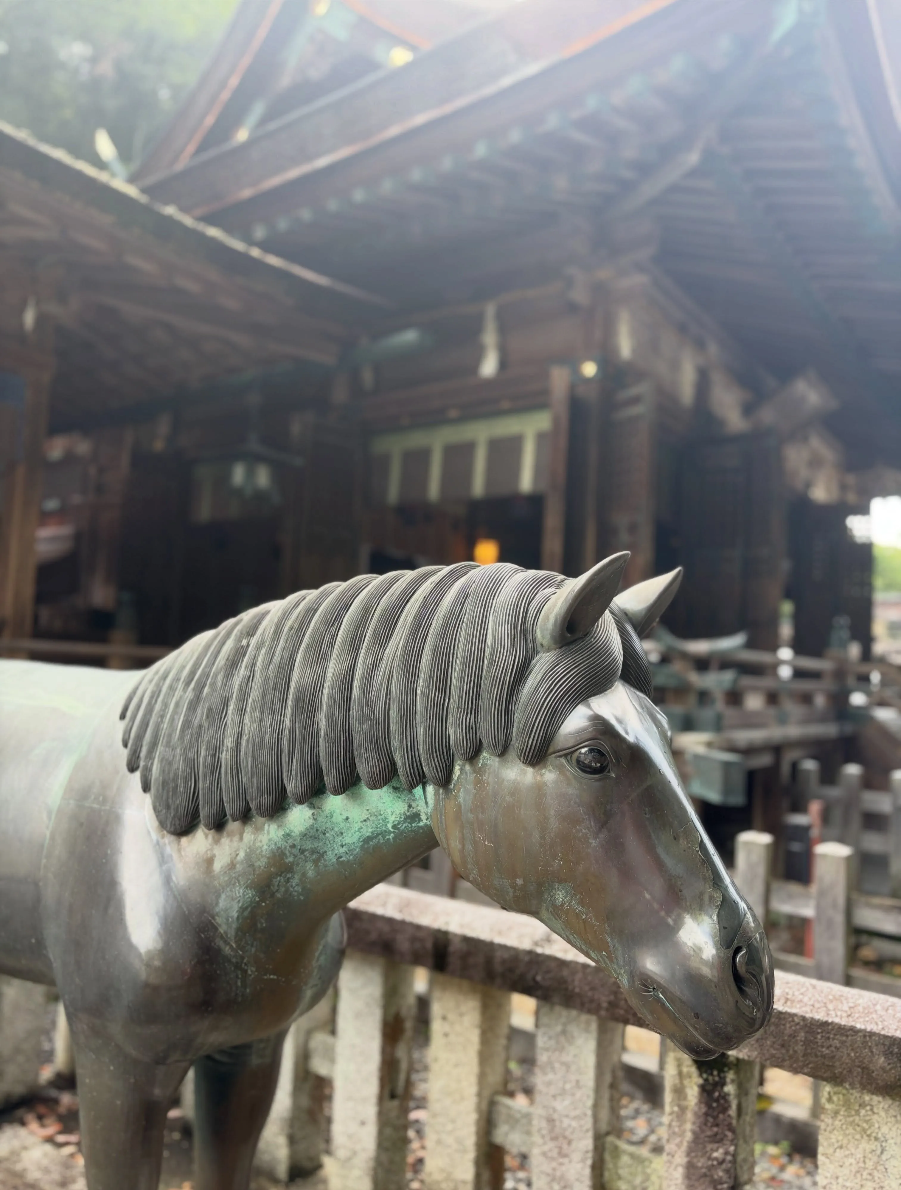 森の休日㊿♪