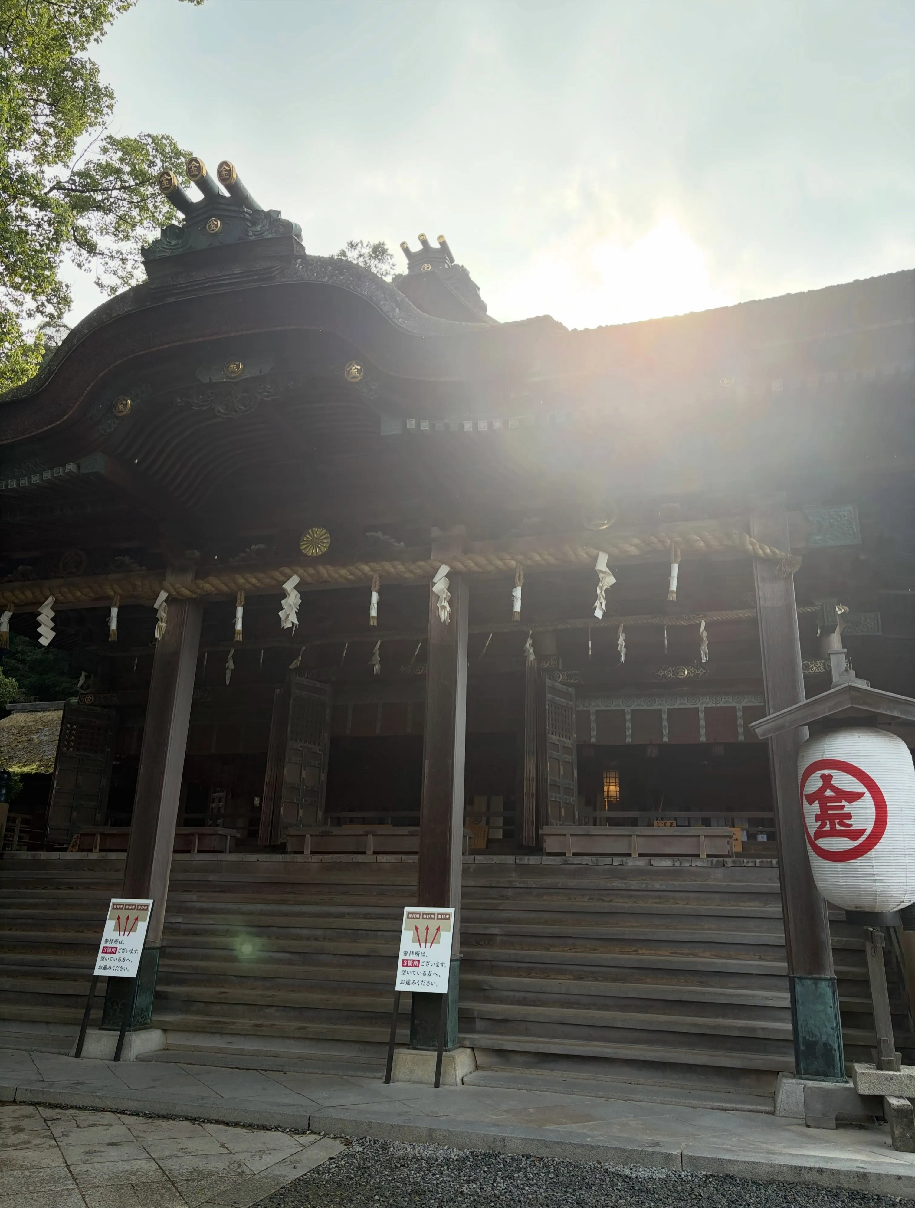 森の休日㊿♪