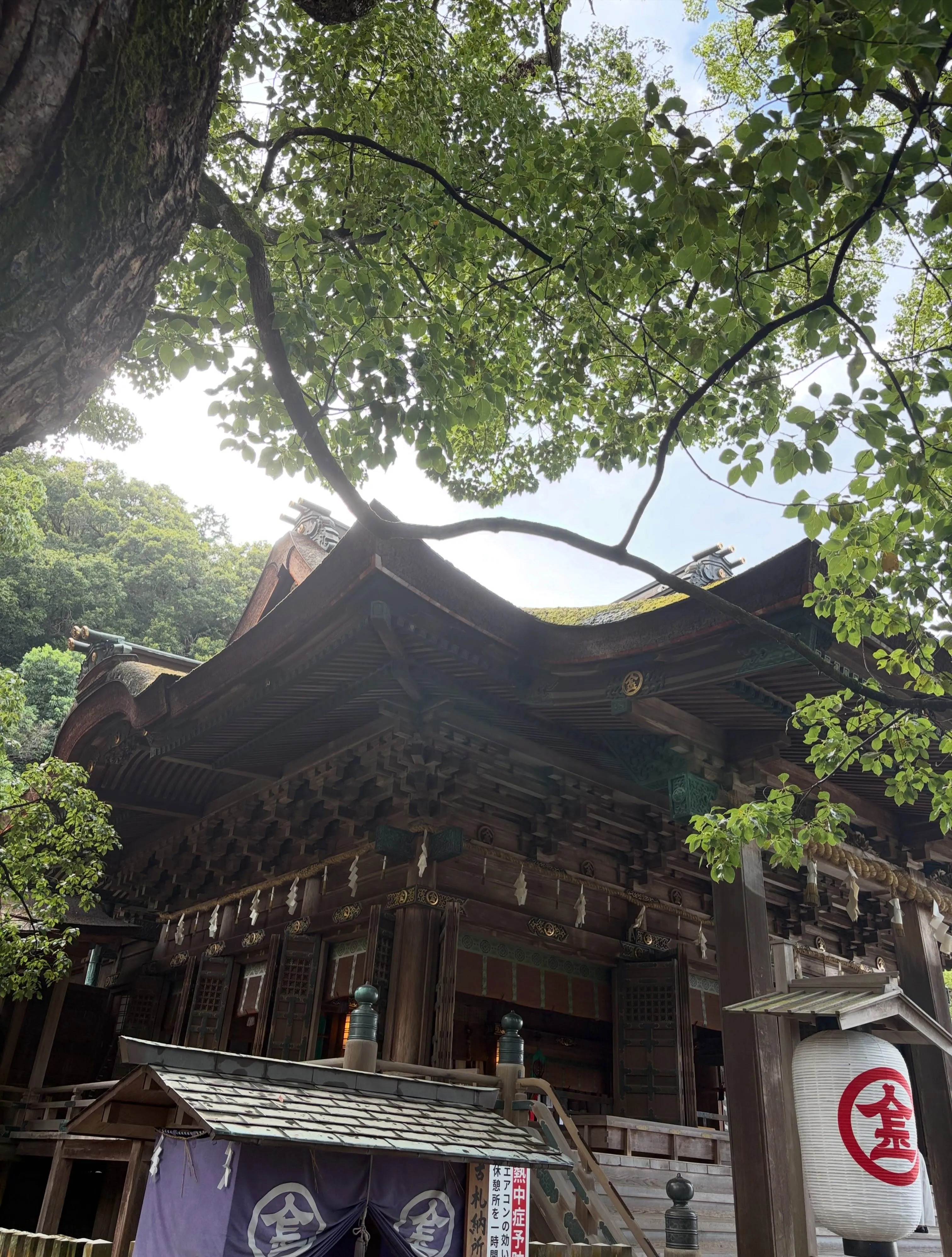 森の休日㊿♪