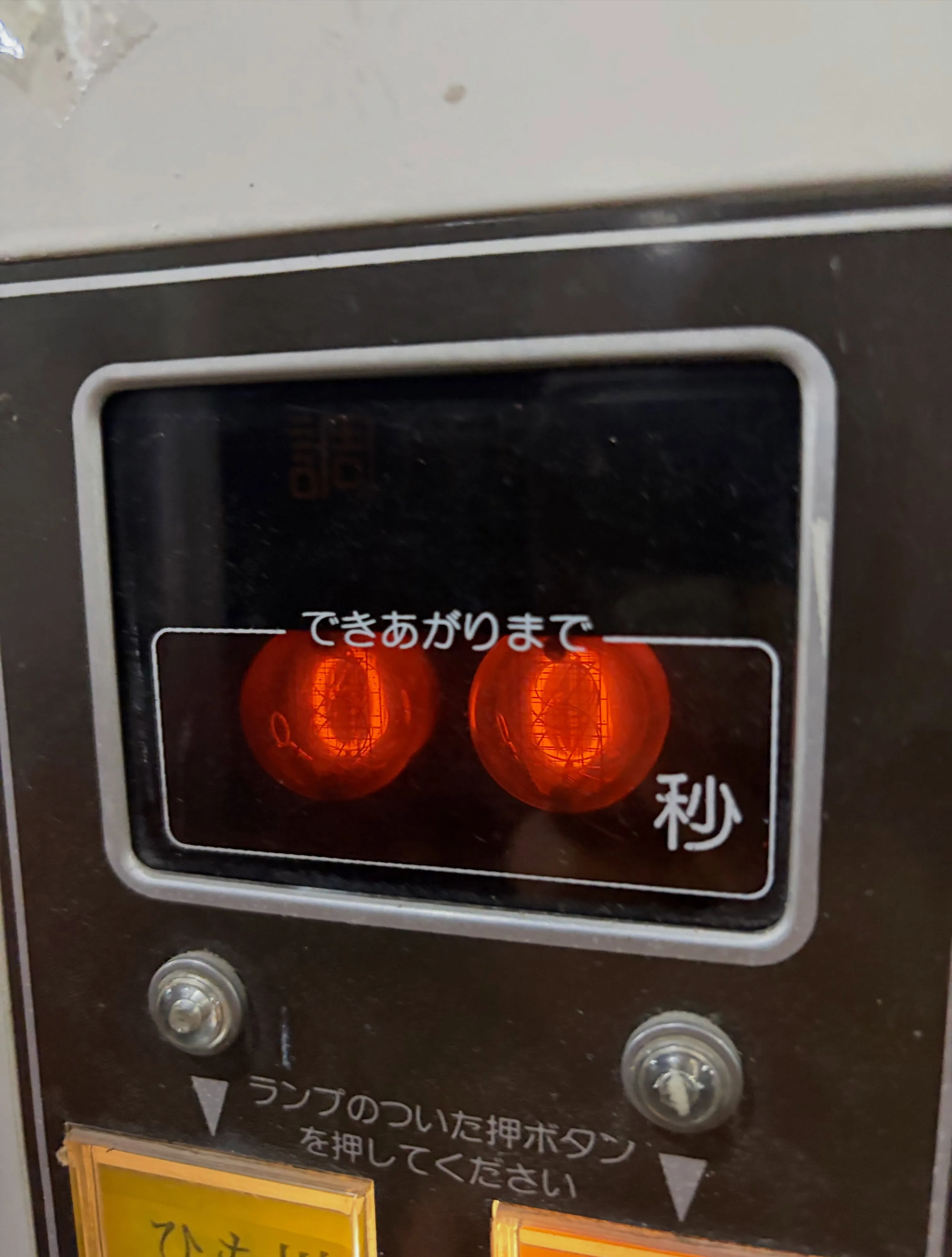 今日の森メシ㊶✨
