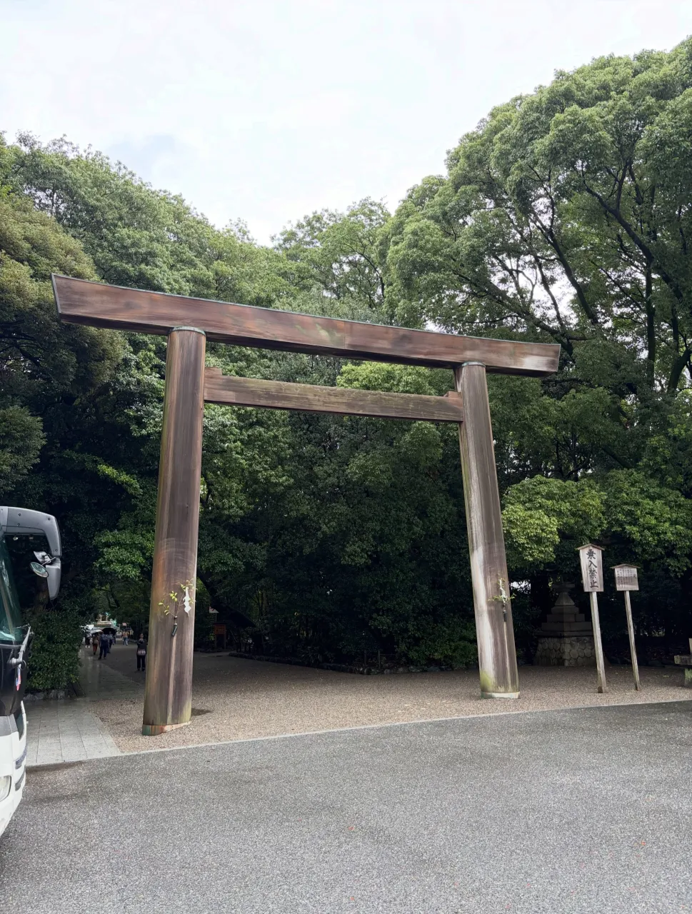今日の森メシ㊺✨