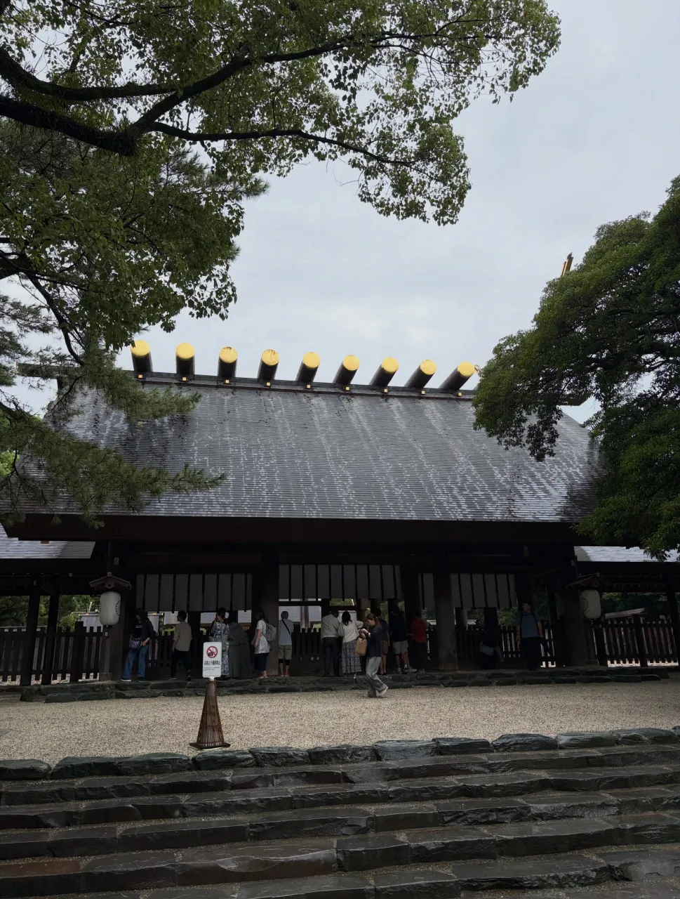 今日の森メシ㊺✨