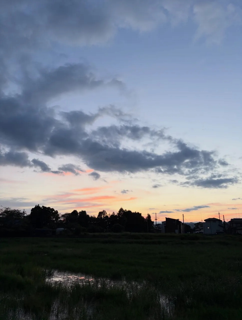 森の休日⑤⑧♪