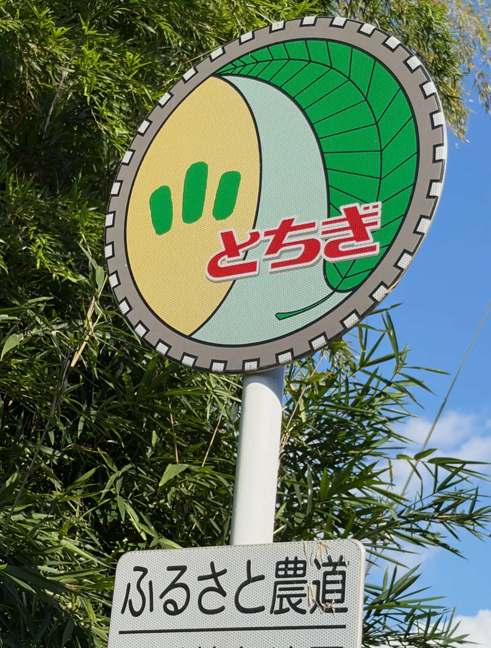森の休日⑤⑨♪