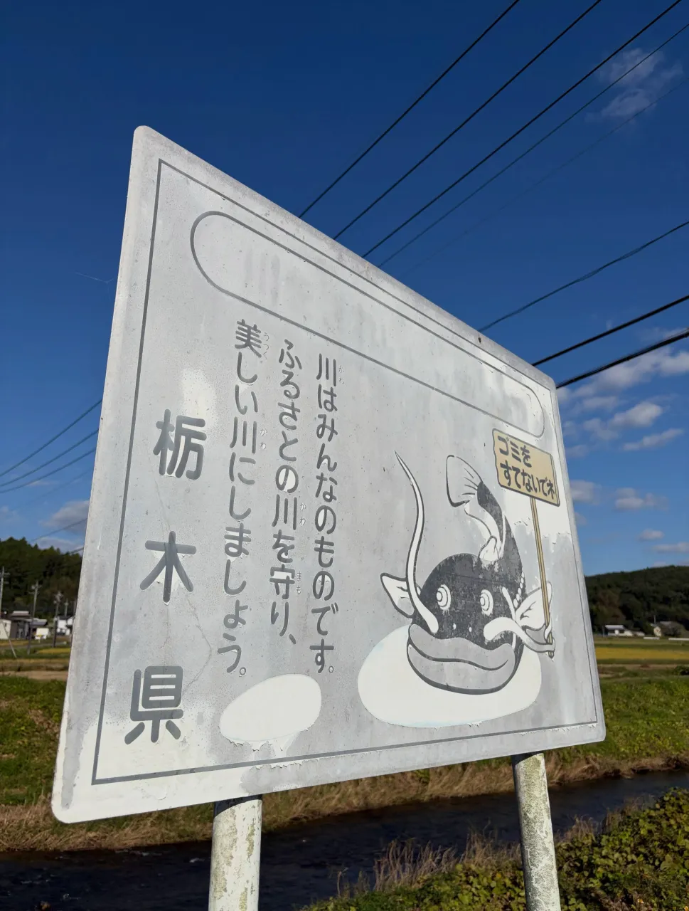 森の休日⑥②♪