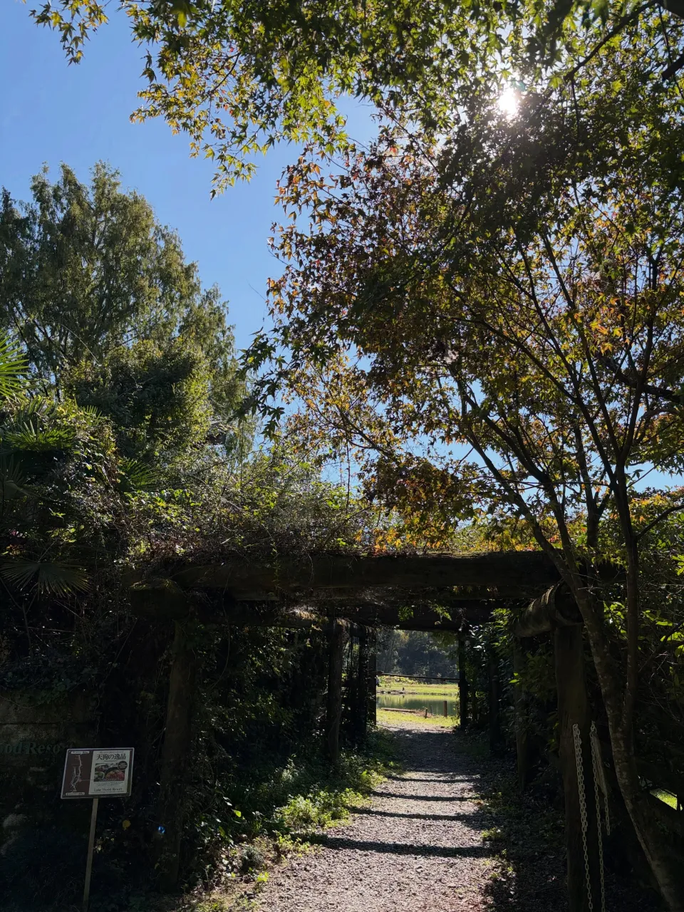 森の休日⑥④♪