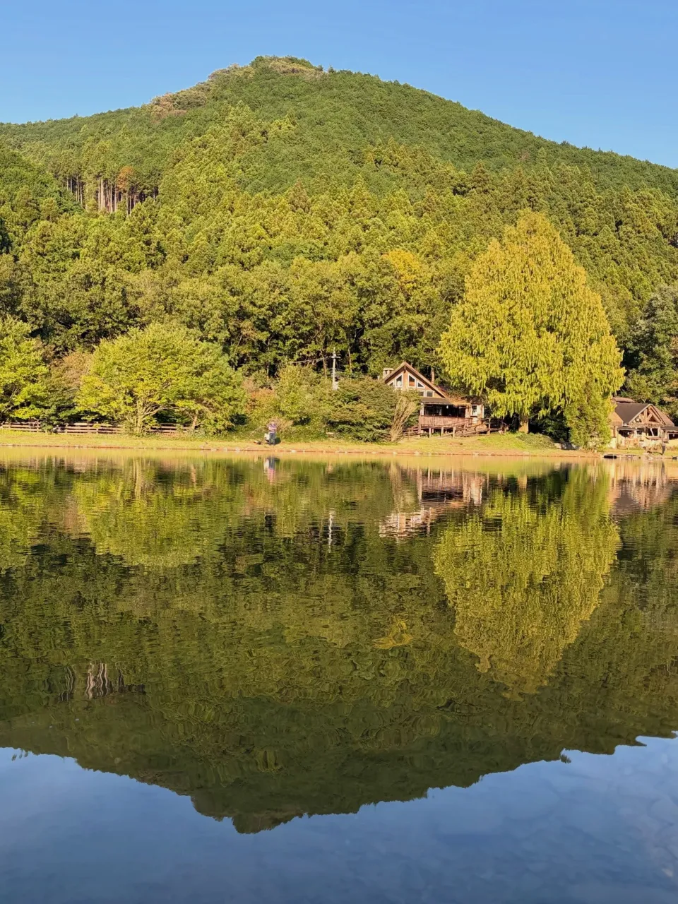 森の休日⑥④♪